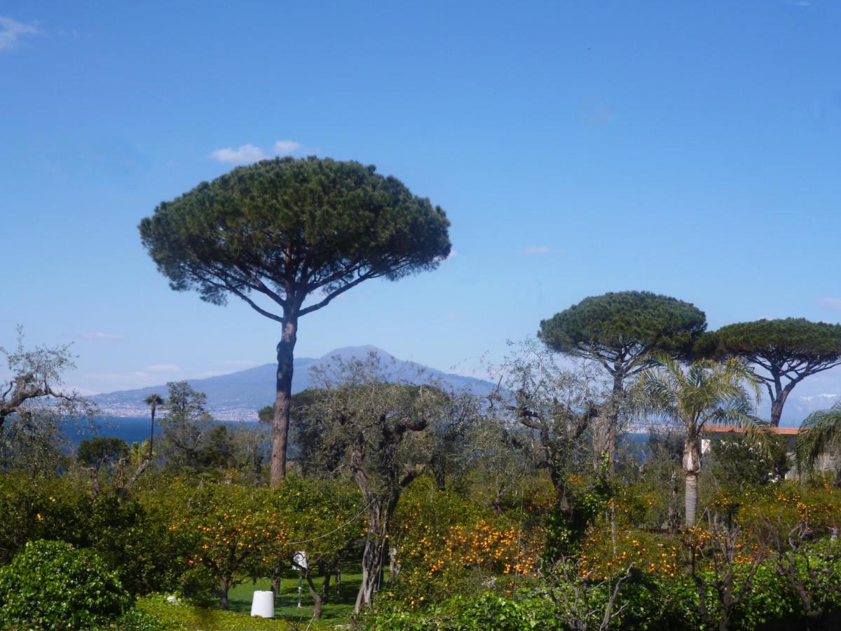 Angelina Suite B&B - Sorrento Centro Exterior foto